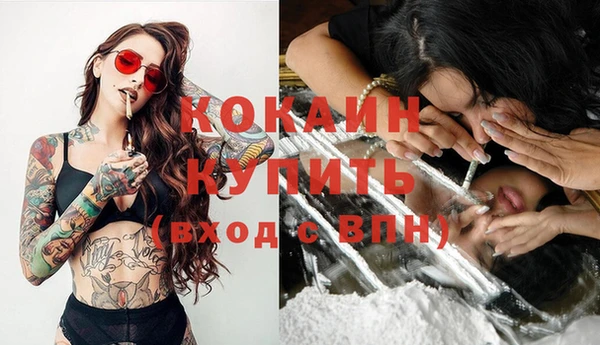 прущая мука Бородино